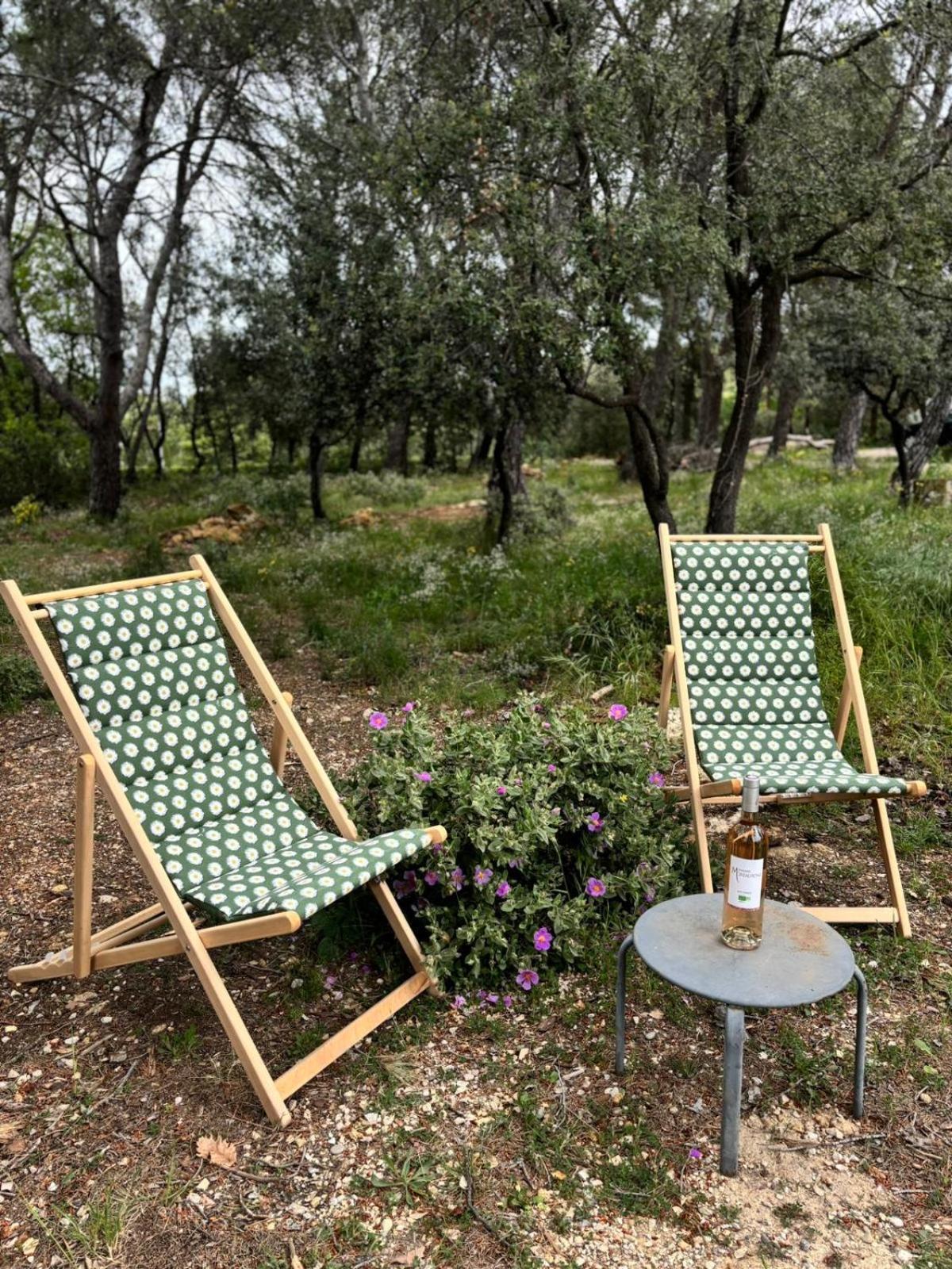 Maison Dans La Pinede Holiday home Rognes